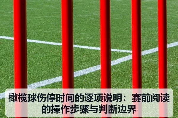 橄榄球伤停时间的逐项说明:赛前阅读的操作步骤与判断边界